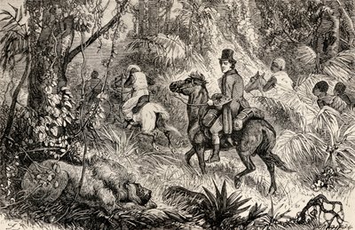 Mungo Park begegnet einem Löwen auf dem Weg zum Dorf Modiboo, 1825 von Dalziel Brothers